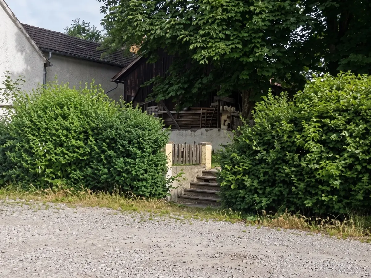 Zugewachsene Hecken an Einfahrt und Treppe eines Hauses