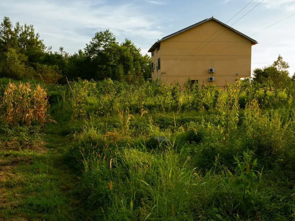 Haus hinter einer verwilderten Wiese