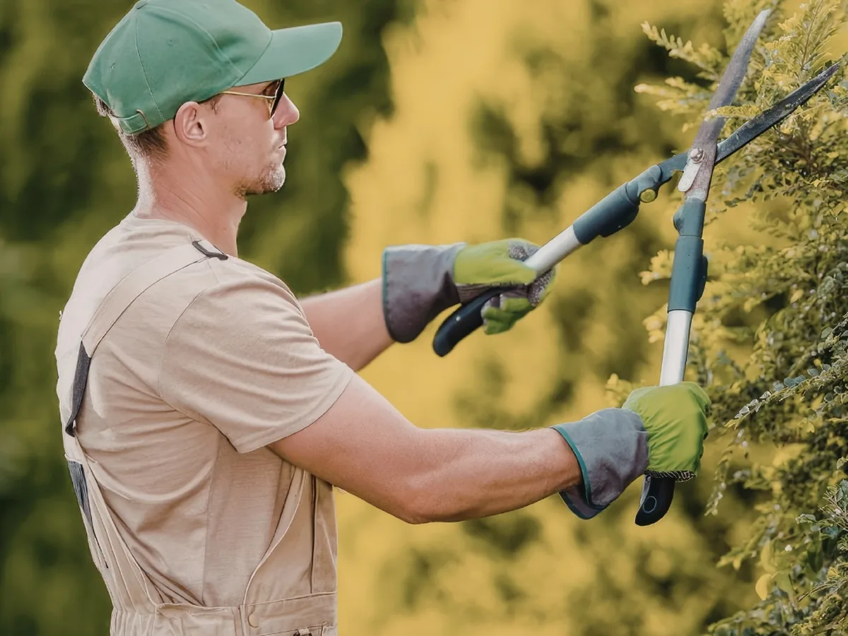 Gärtner schneidet eine Hecke mit der Heckenschere